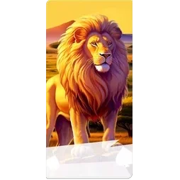 Lion
Safari